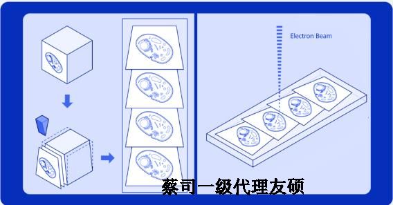 双鸭山蔡司双鸭山扫描电镜